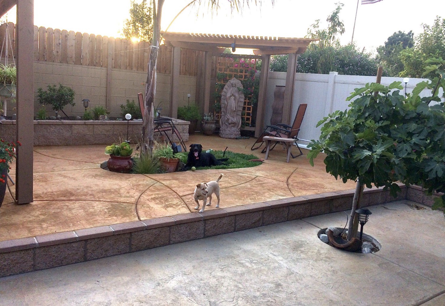 Finished Colton backyard with pergola, patio, and landscaping