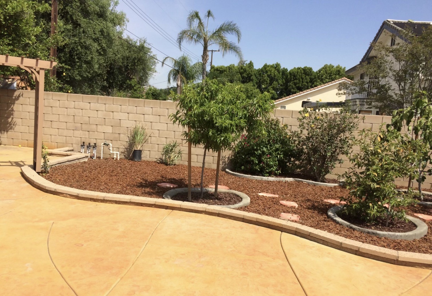 Landscaped planting bed with young fruit trees