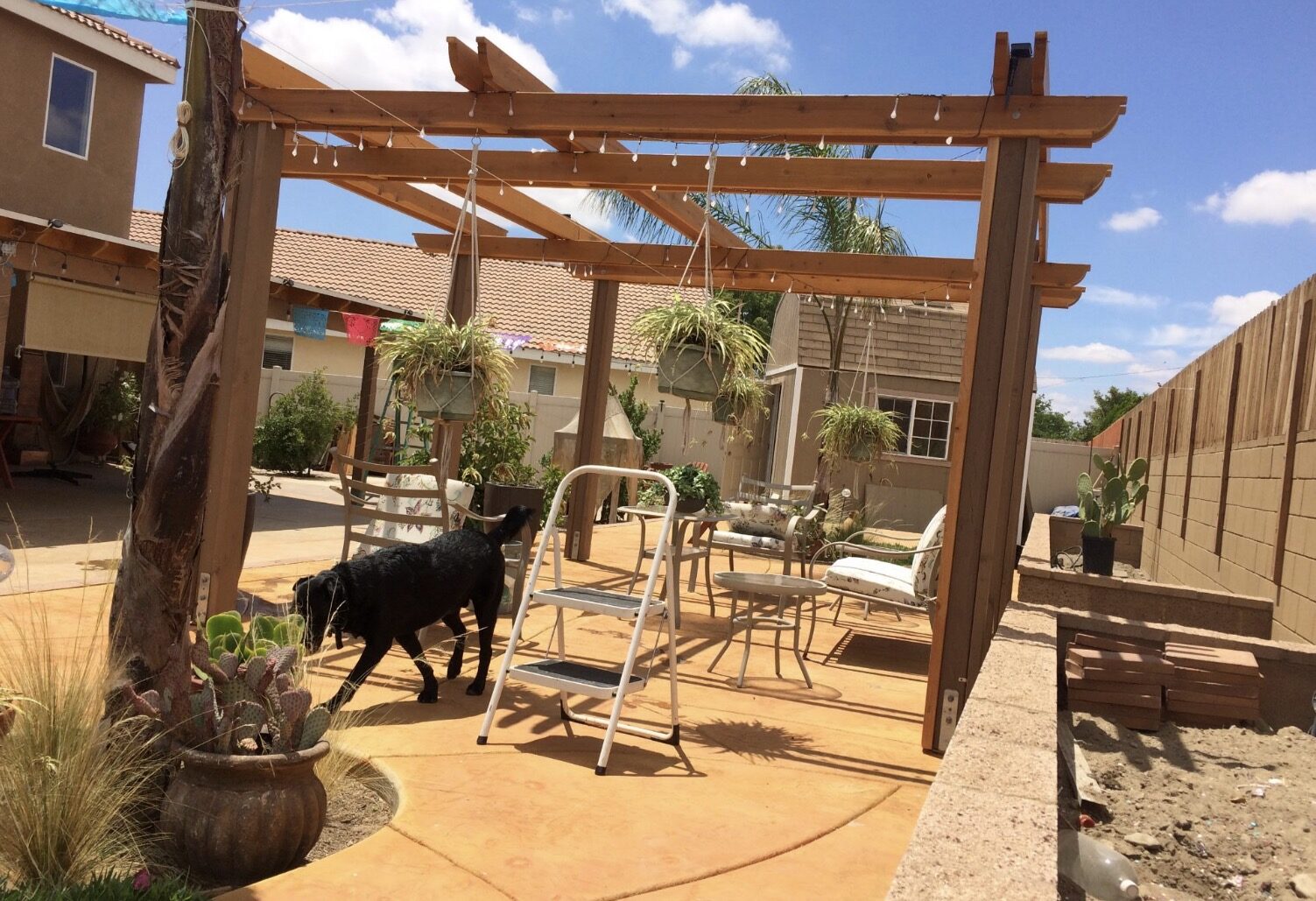 Finished landscaped backyard